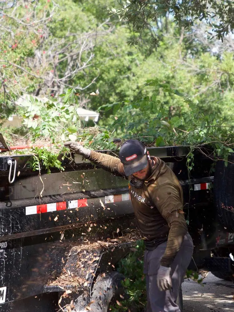 Lutgen crew member clearing branches and overgrowth from a property