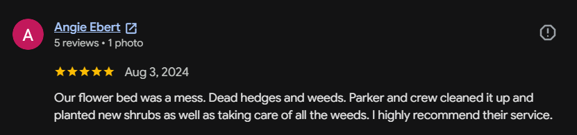 Google review 66 for Lutgen Landscaping & Lawn Care