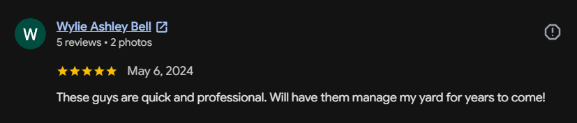 Google review 87 for Lutgen Landscaping & Lawn Care