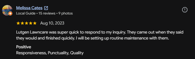 Google review 109 for Lutgen Landscaping & Lawn Care