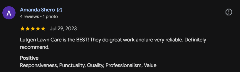Google review 146 for Lutgen Landscaping & Lawn Care