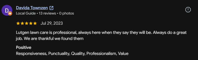 Google review 155 for Lutgen Landscaping & Lawn Care