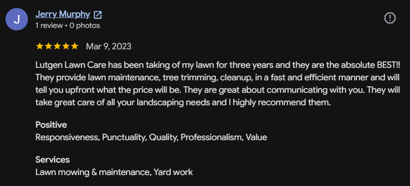 Google review 165 for Lutgen Landscaping & Lawn Care